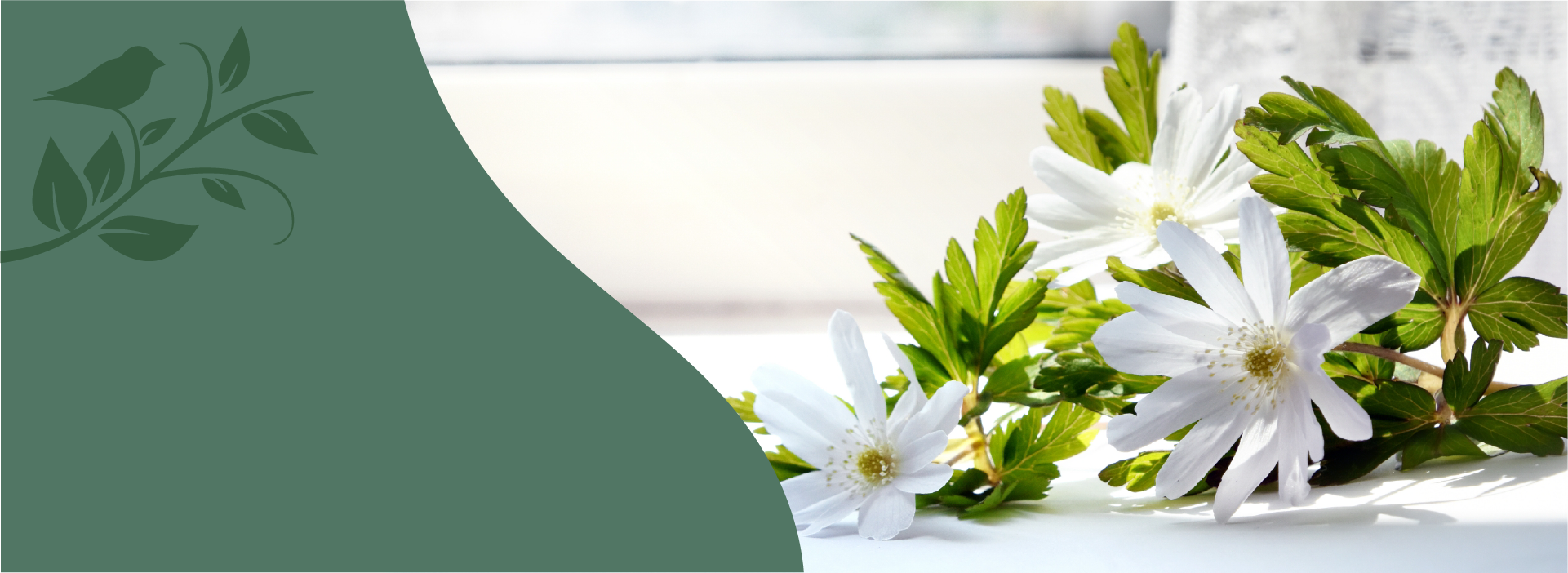 ”代替テキスト”