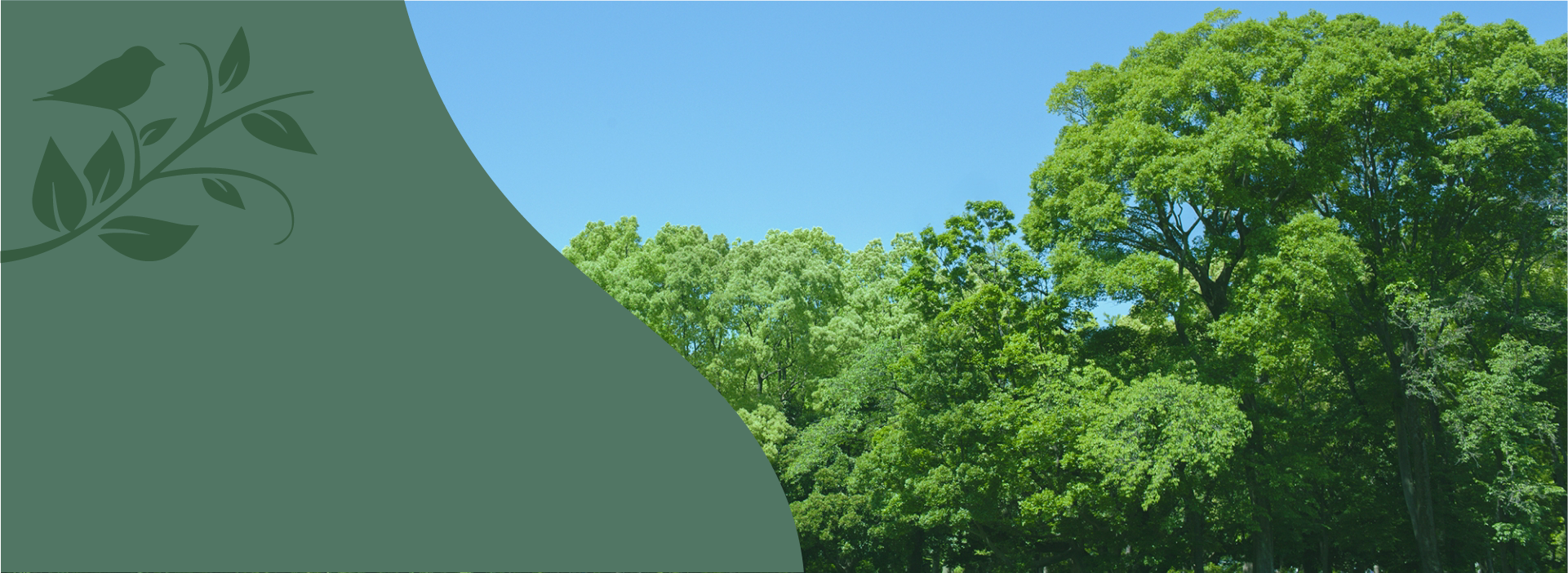 ”代替テキスト”